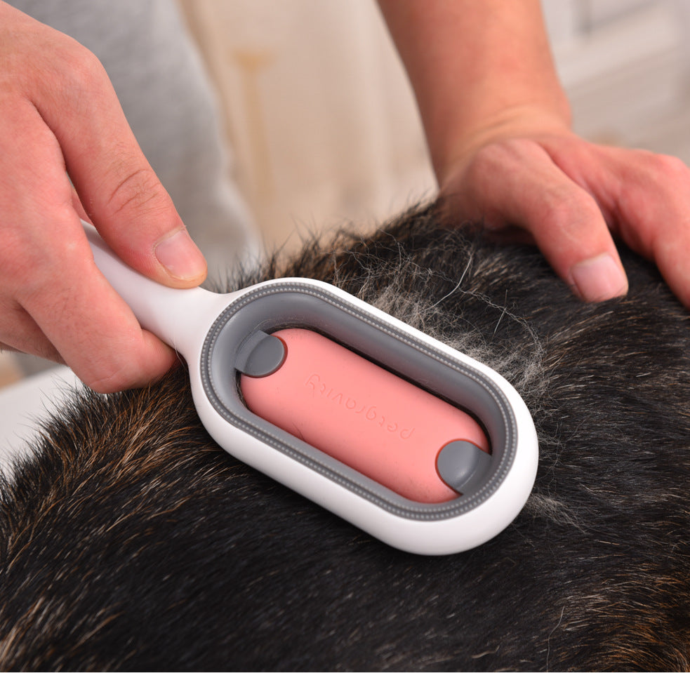 Brosse de toilettage